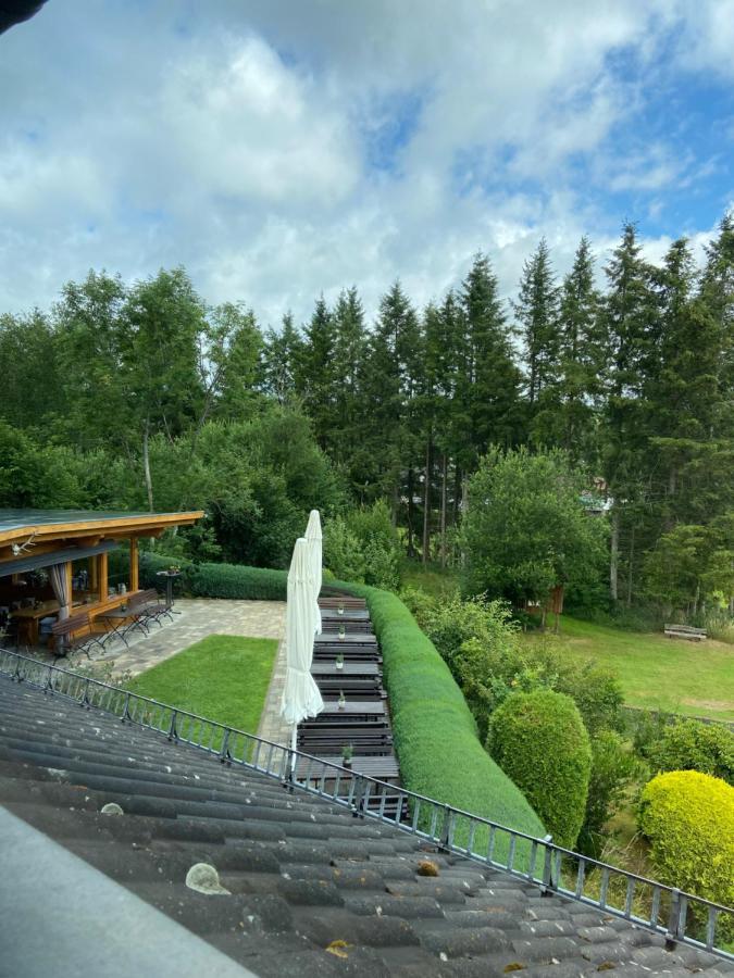 Haus Petra Hotel Stadtkyll Exterior photo